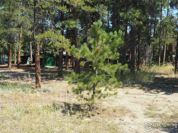 Nederland, CO 80466,655 W Spruce St