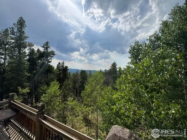 Black Hawk, CO 80422,450 Wedgwood Rd