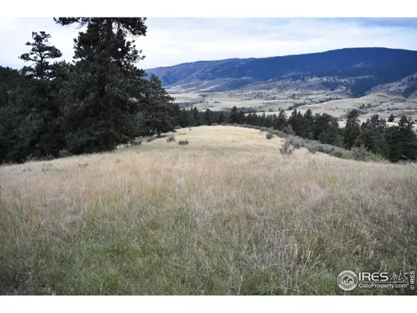 Loveland, CO 80538,17556 Red Canyon Ranch Rd