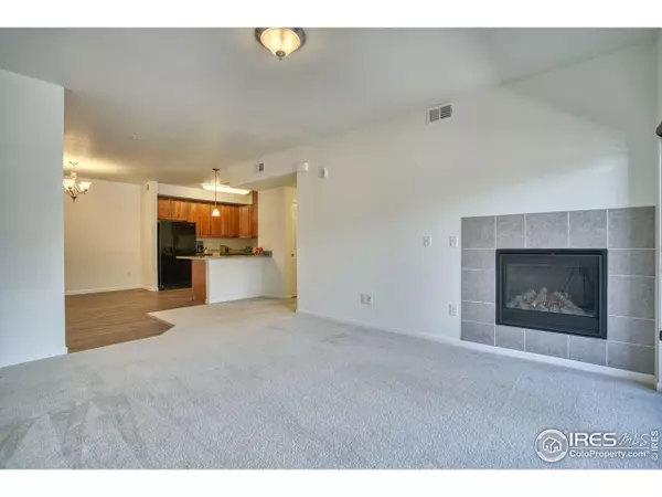 Longmont, CO 80504,804 Summer Hawk Dr #203