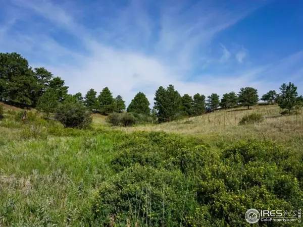 0 Stub Ct, Livermore, CO 80536