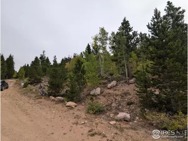 Red Feather Lakes, CO 80545,37 N Oneida Ct