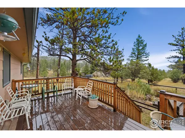 Livermore, CO 80536,64 Mount Massive Dr