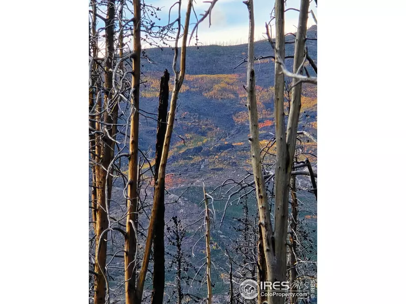 75 Sheep Horn Ct, Bellvue, CO 80512