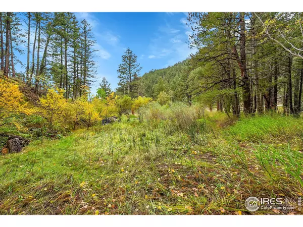 Jamestown, CO 80455,5567 Lefthand Canyon Dr
