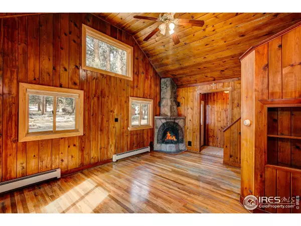 Estes Park, CO 80517,910 Shady Ln
