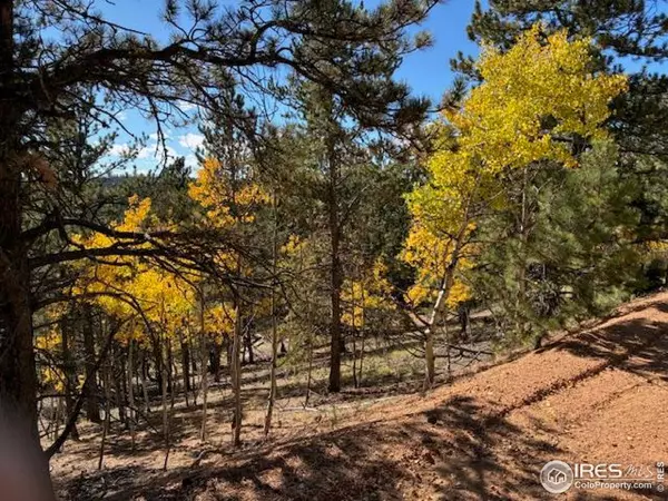 Divide, CO 80814,85 Remwood Cir