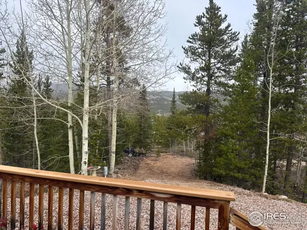 Red Feather Lakes, CO 80545,44 Natchez Cir