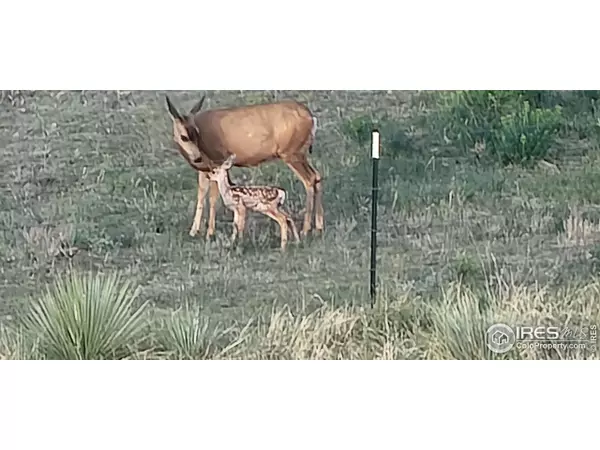 Parker, CO 80138,3842 Banner Ct