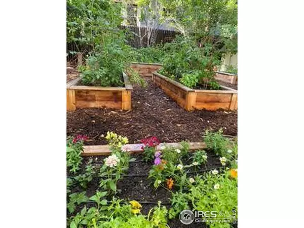 Fort Collins, CO 80521,1230 W Mountain Ave