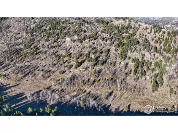 Glen Haven, CO 80532,Dunraven Glade Rd