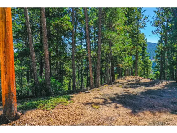 Larkspur, CO 80118,14059 Blue Jay Ln