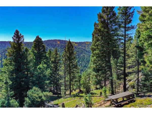 Larkspur, CO 80118,14059 Blue Jay Ln