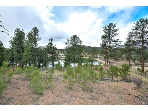 Woodland Park, CO 80863,14924 Pine Lake Dr