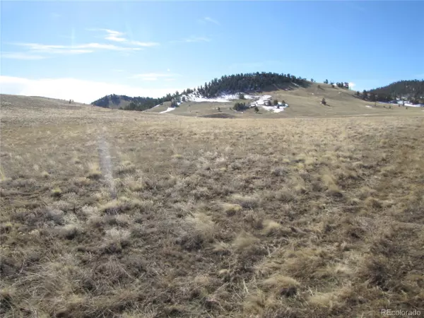 Hartsel, CO 80449,0 Chickasaw Rd