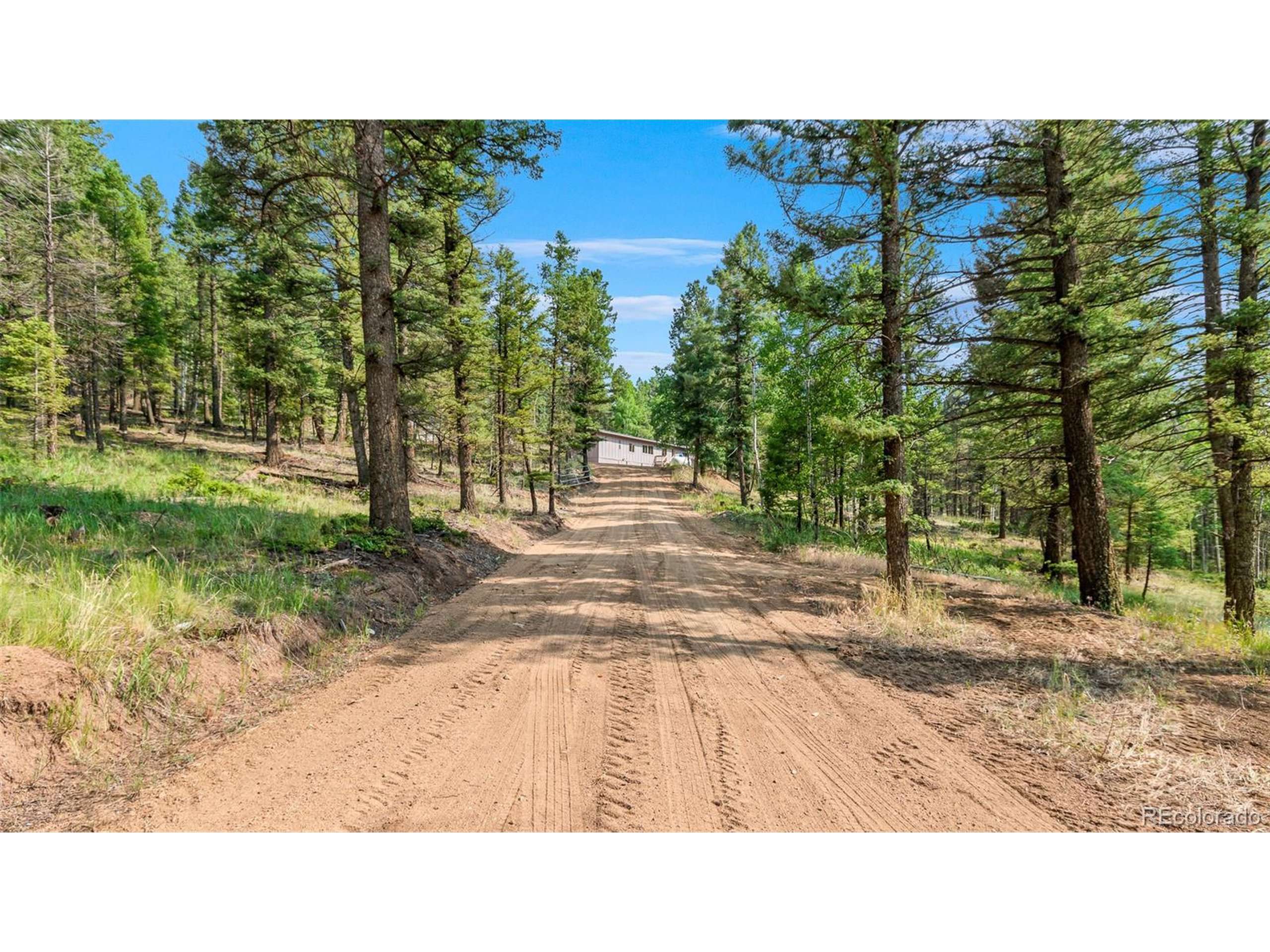 900 Beaver Creek Dr, Florissant, CO 80816