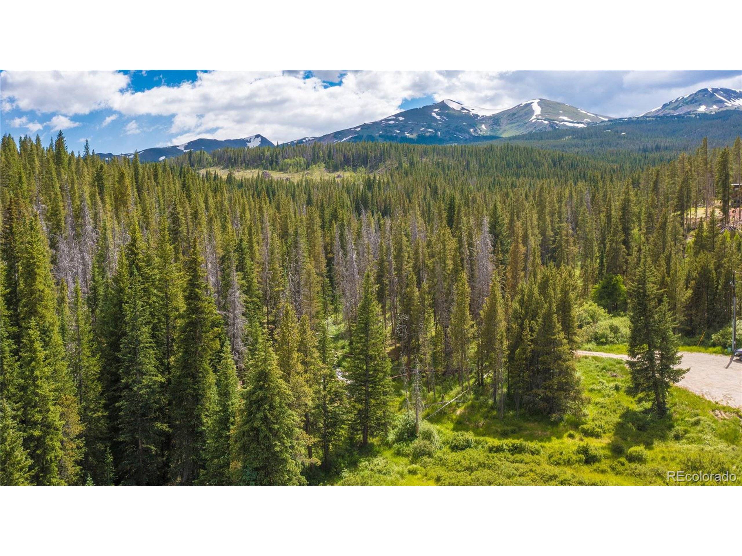Breckenridge, CO 80424,5810 Barton Rd