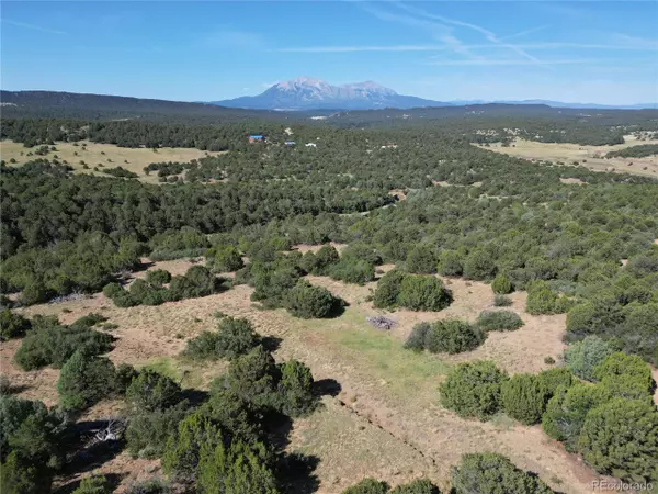 Walsenburg, CO 81089,17 Silver Spurs Ranch