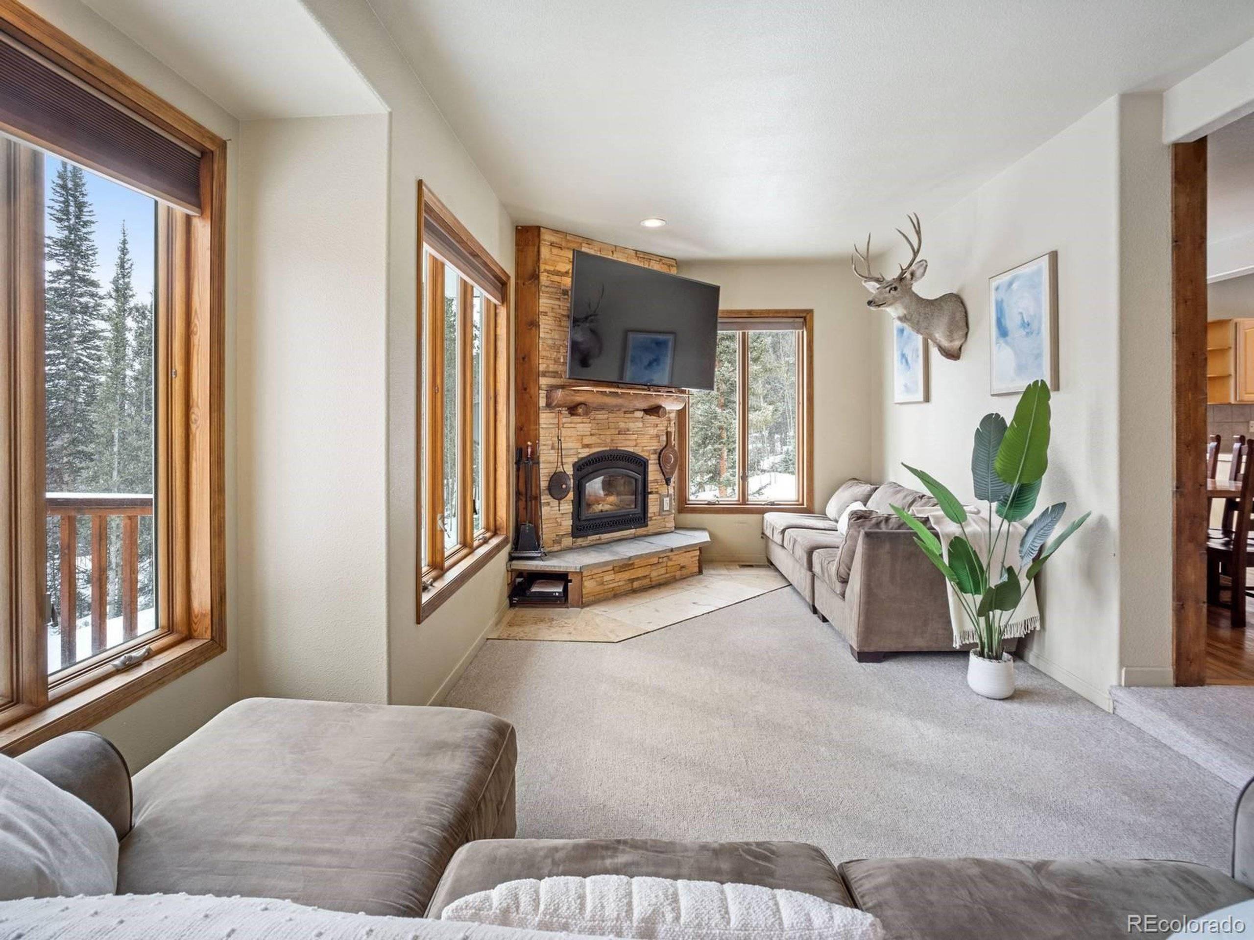 Fairplay, CO 80440,234 Peterson Dr