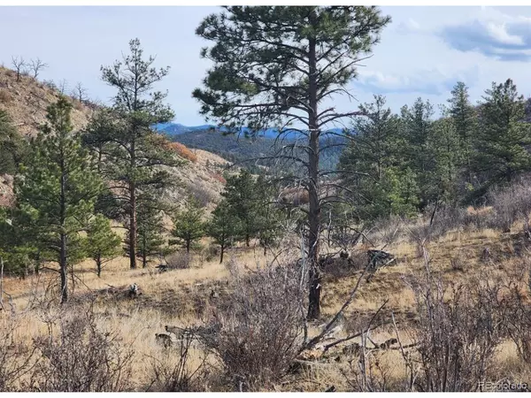 Canon City, CO 81212,961 SHANNON Trl