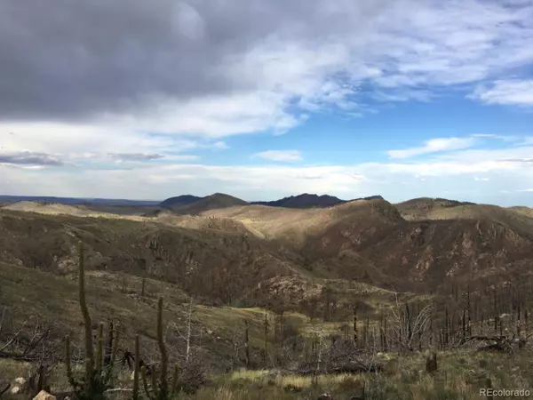 Livermore, CO 80536,28 Canaan Mountain Ct