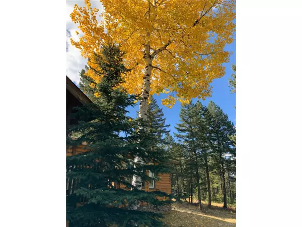 Evergreen, CO 80439,5574 S Twin Spruce Dr