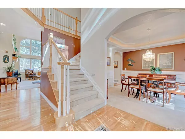 Monument, CO 80132,718 Piney Ridge Way