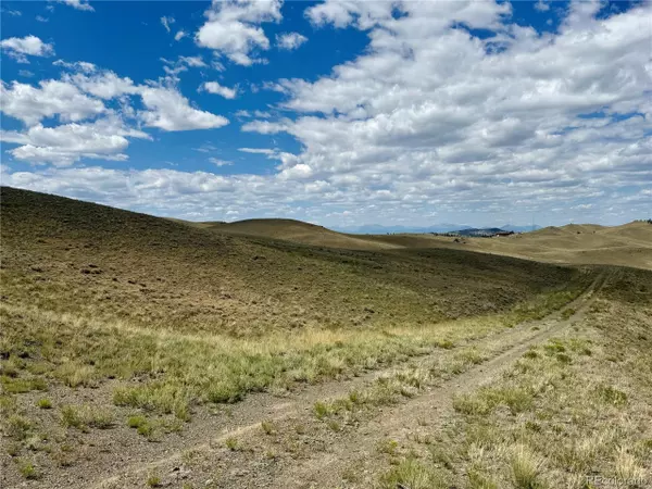 Hartsel, CO 80449,694 Black Beaver Cir