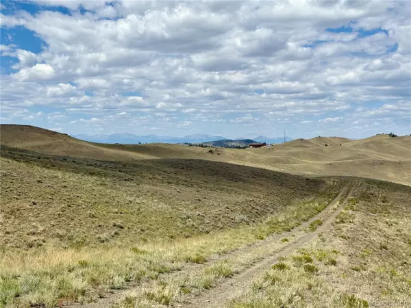 Hartsel, CO 80449,694 Black Beaver Cir