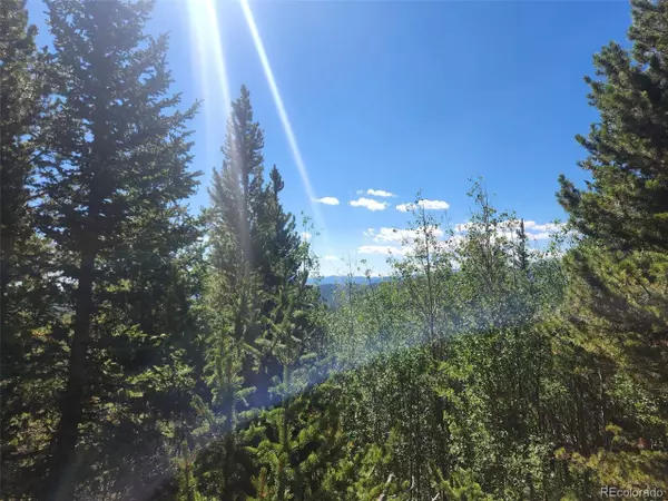 Idaho Springs, CO 80452,Lincoln Dr