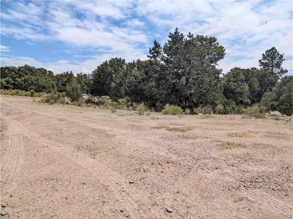 Crestone, CO 81131,600 N Goldmine