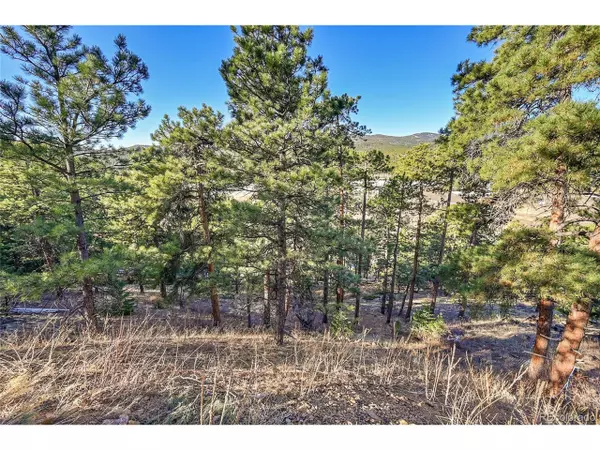 Conifer, CO 80433,27292 Ridge Trl
