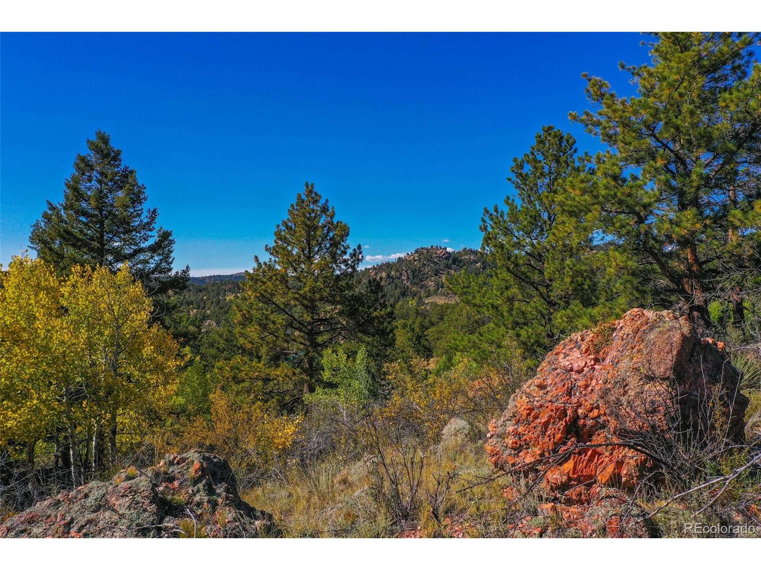 Florissant, CO 80816,480 Ponderosa Dr