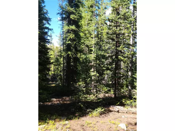 Fairplay, CO 80440,473 Bum Dr