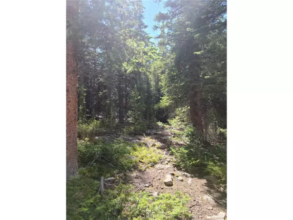 Fairplay, CO 80440,473 Bum Dr