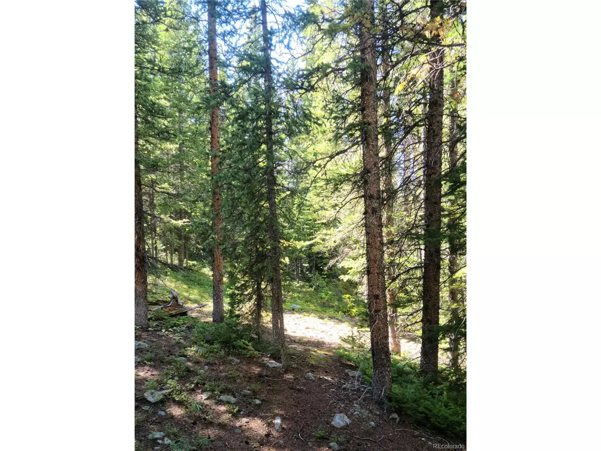 Fairplay, CO 80440,473 Bum Dr