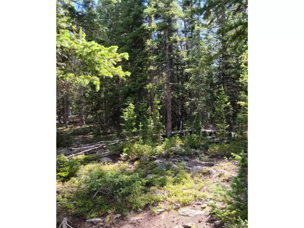 Fairplay, CO 80440,473 Bum Dr