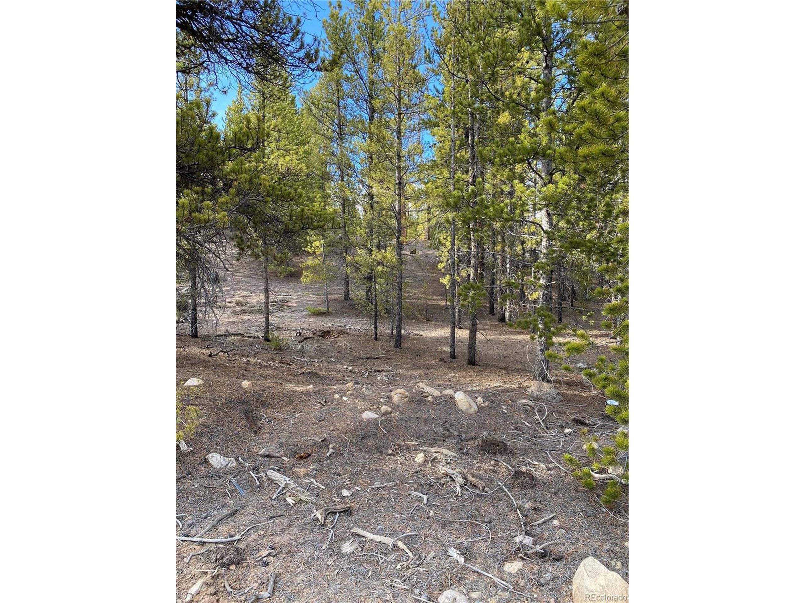 267 Birch Dr, Twin Lakes, CO 81251