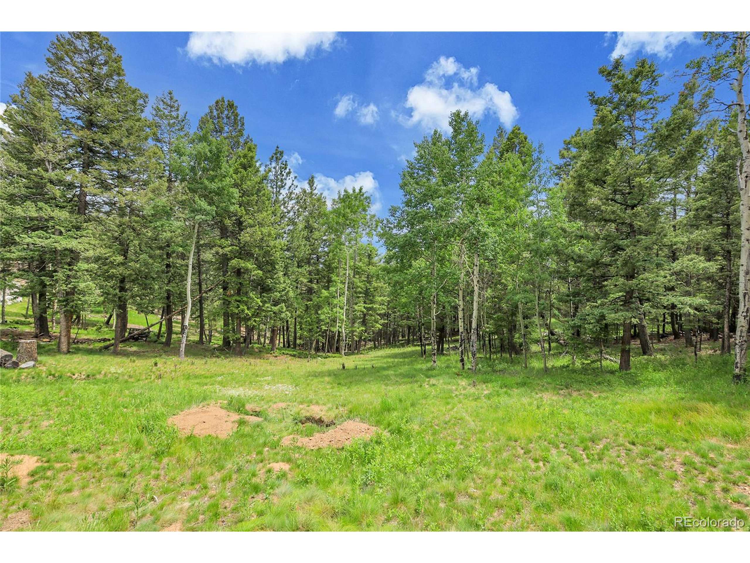 Conifer, CO 80433,30122 Nancys Ln