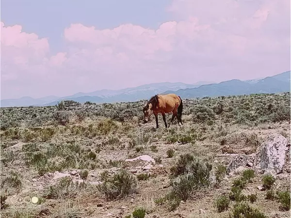 Fort Garland, CO 81133,16431 4th St