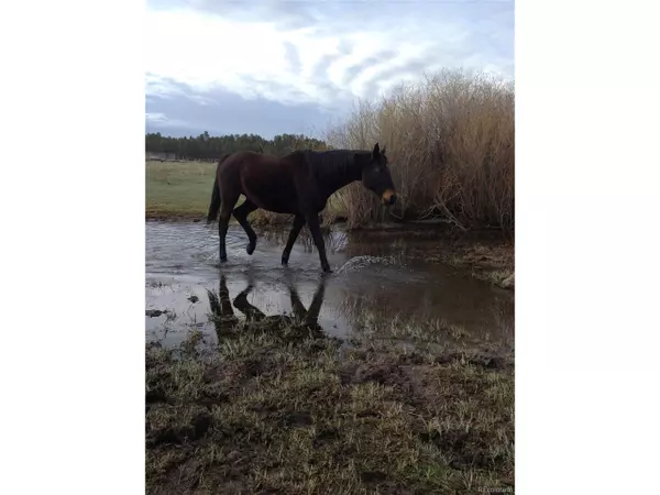 Larkspur, CO 80118,E Cherry Creek Rd
