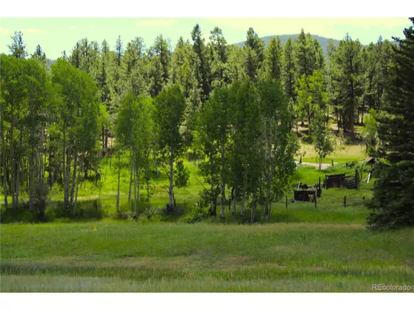 Lake George, CO 80827,Address not disclosed