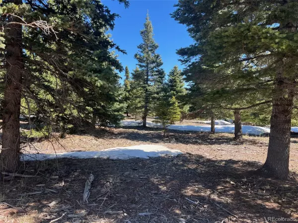 Cuchara, CO 81055,Valley Vista