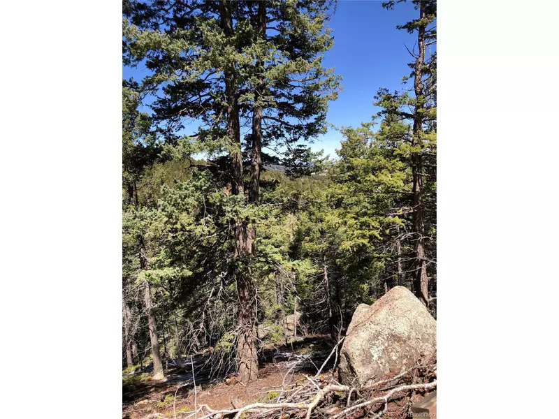 195 Osoeola Rd, Woodland Park, CO 80863