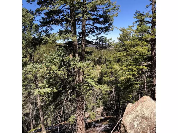 Woodland Park, CO 80863,195 Osoeola Rd