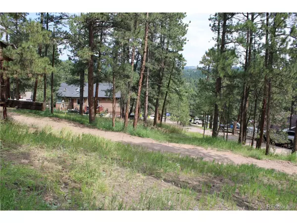 Evergreen, CO 80439,29751 Fir Dr