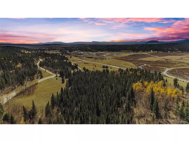 459 Platte River Dr, Fairplay, CO 80440