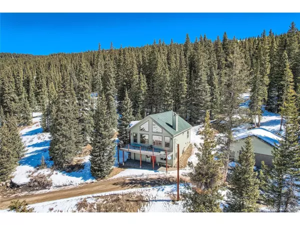 2698 County Road 4, Alma, CO 80420