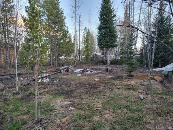 727 GCR 4980, Grand Lake, CO 80447