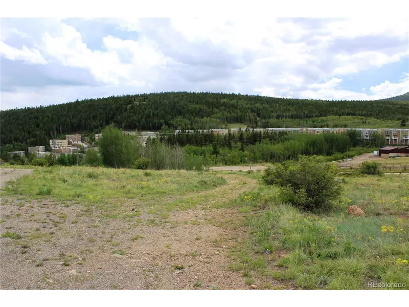 9041 Apex Valley Rd, Central City, CO 80427